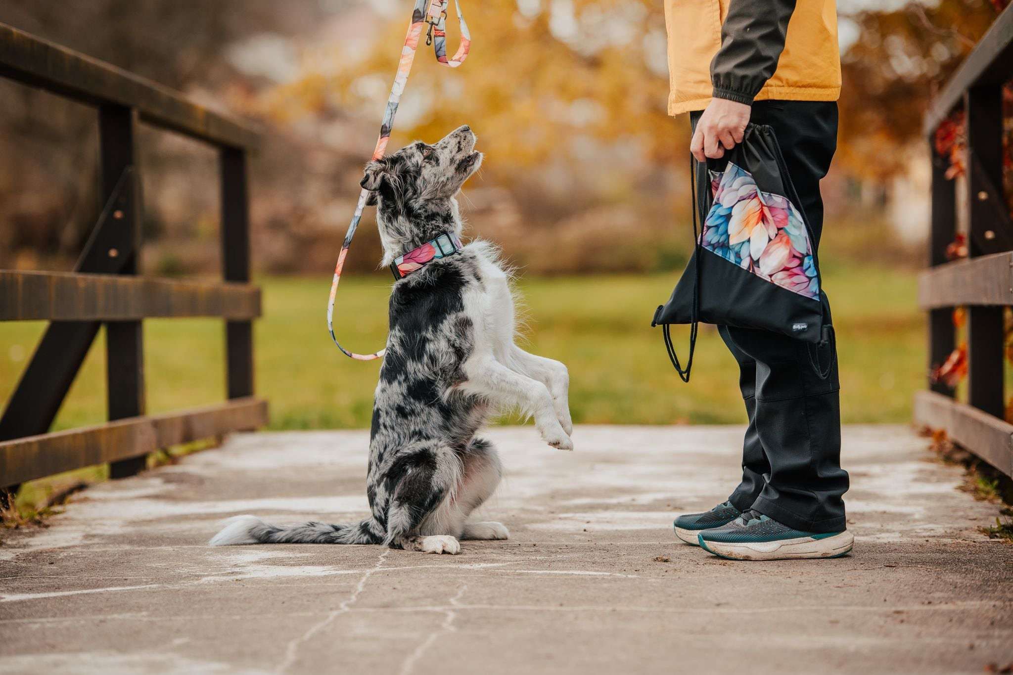 Přepínací vodítko RAINBOW LEAVES - Obrázek 3