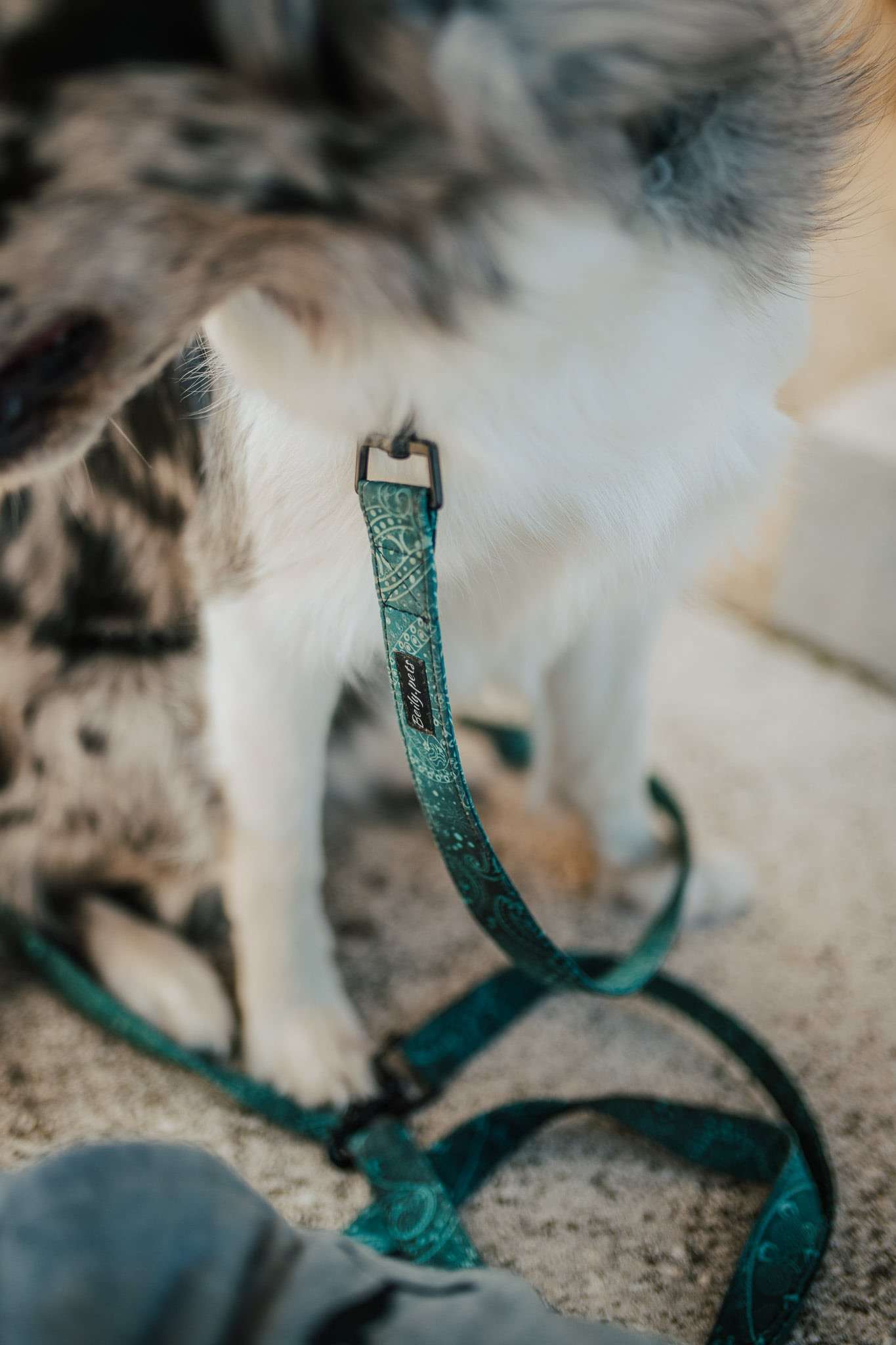 Přepínací vodítko PERSEUS - Obrázek 2