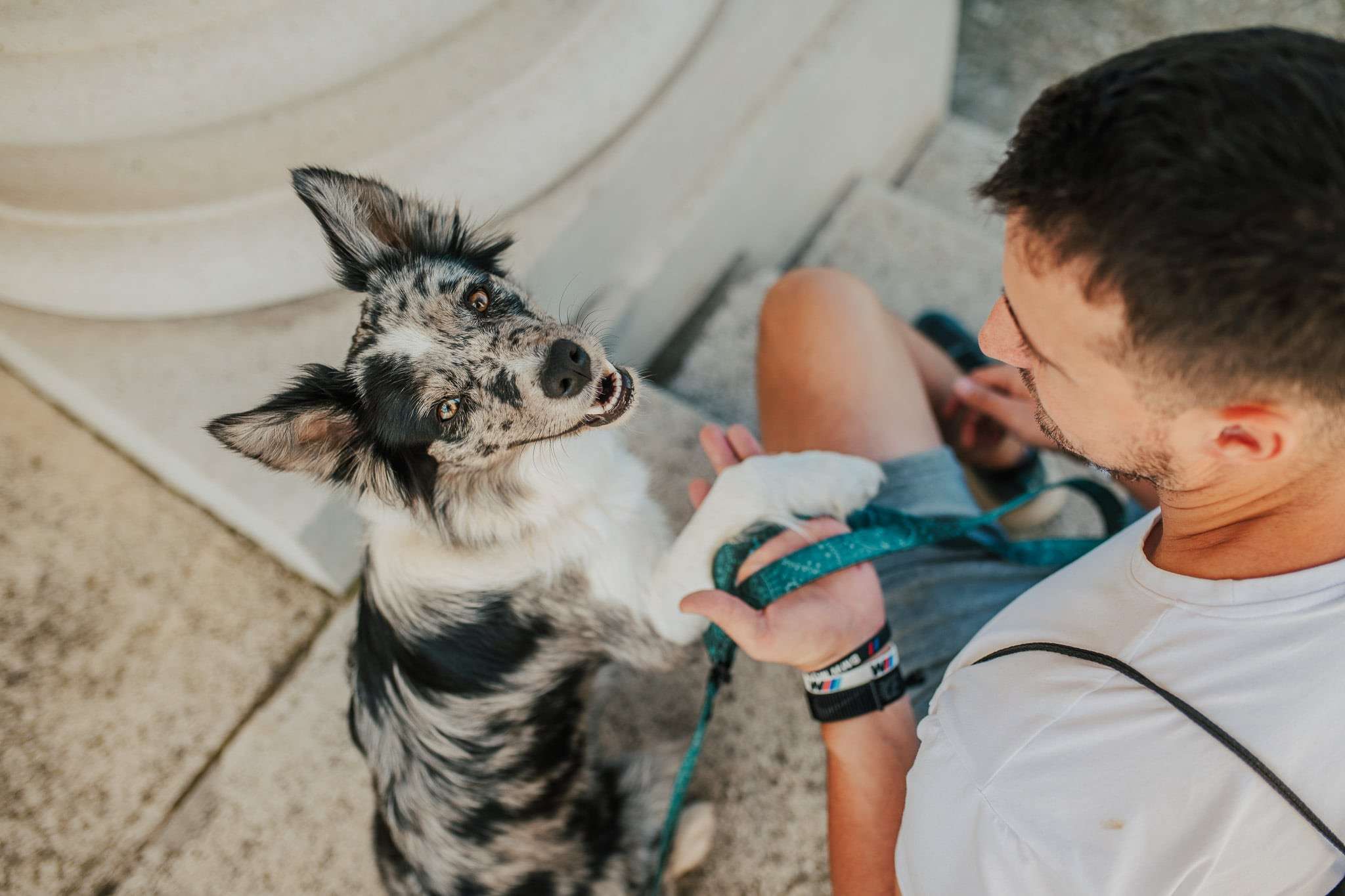 Přepínací vodítko PERSEUS - Obrázek 3