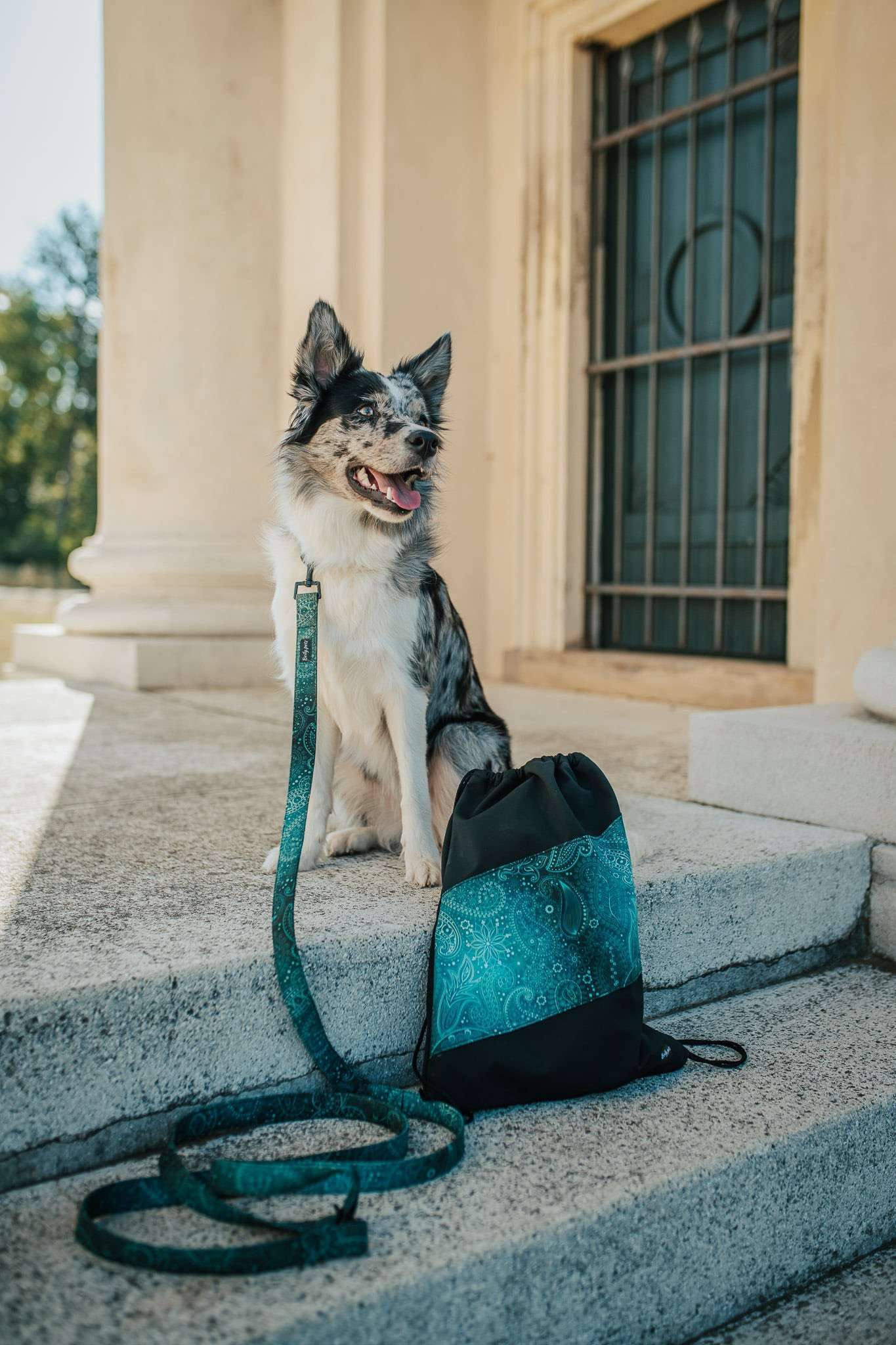 Obojek PERSEUS - Obrázek 3