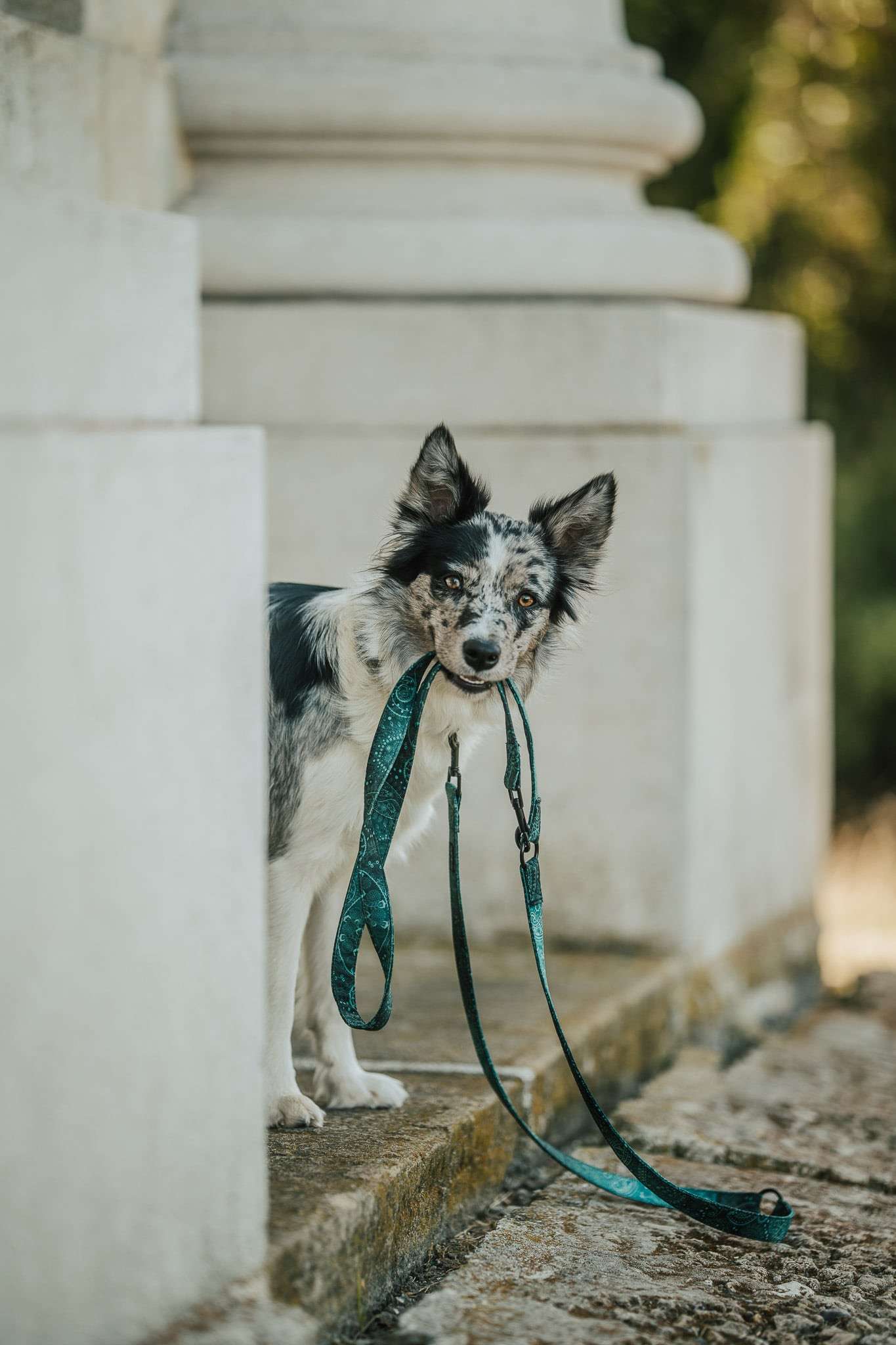 Přepínací vodítko PERSEUS - Obrázek 4