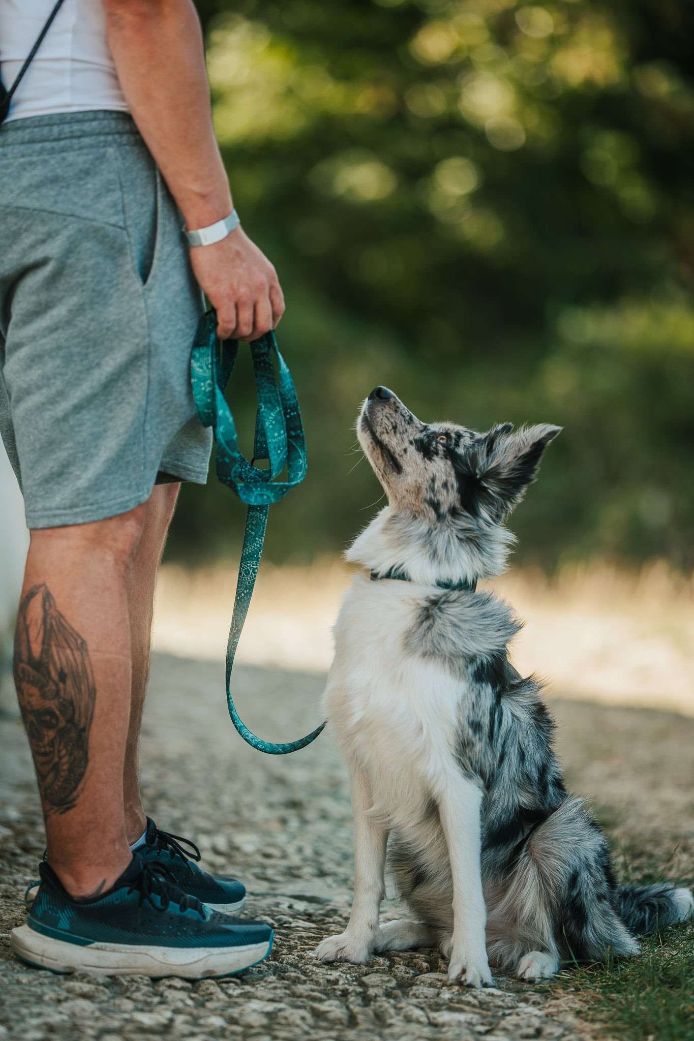 Přepínací vodítko PERSEUS - Obrázek 5