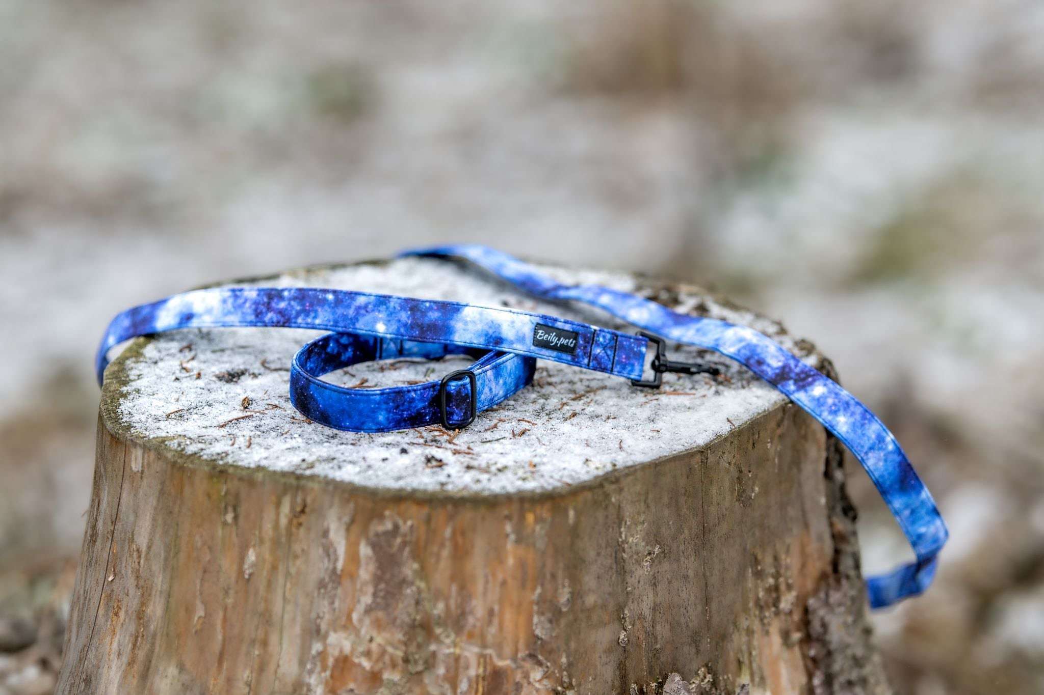 Obojek VESMÍR - Obrázek 3