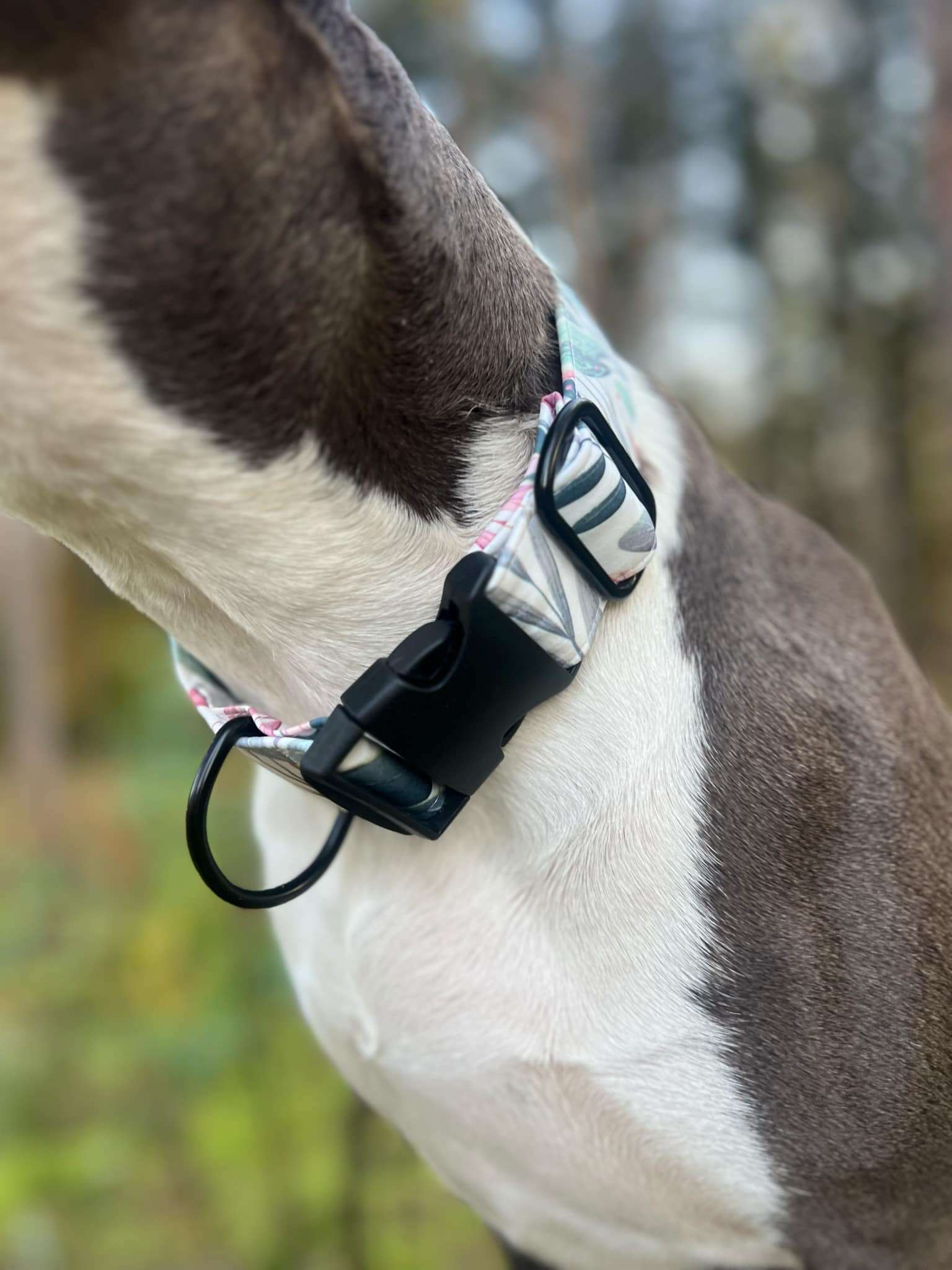 Obojek BLUSH FOREST - Obrázek 3