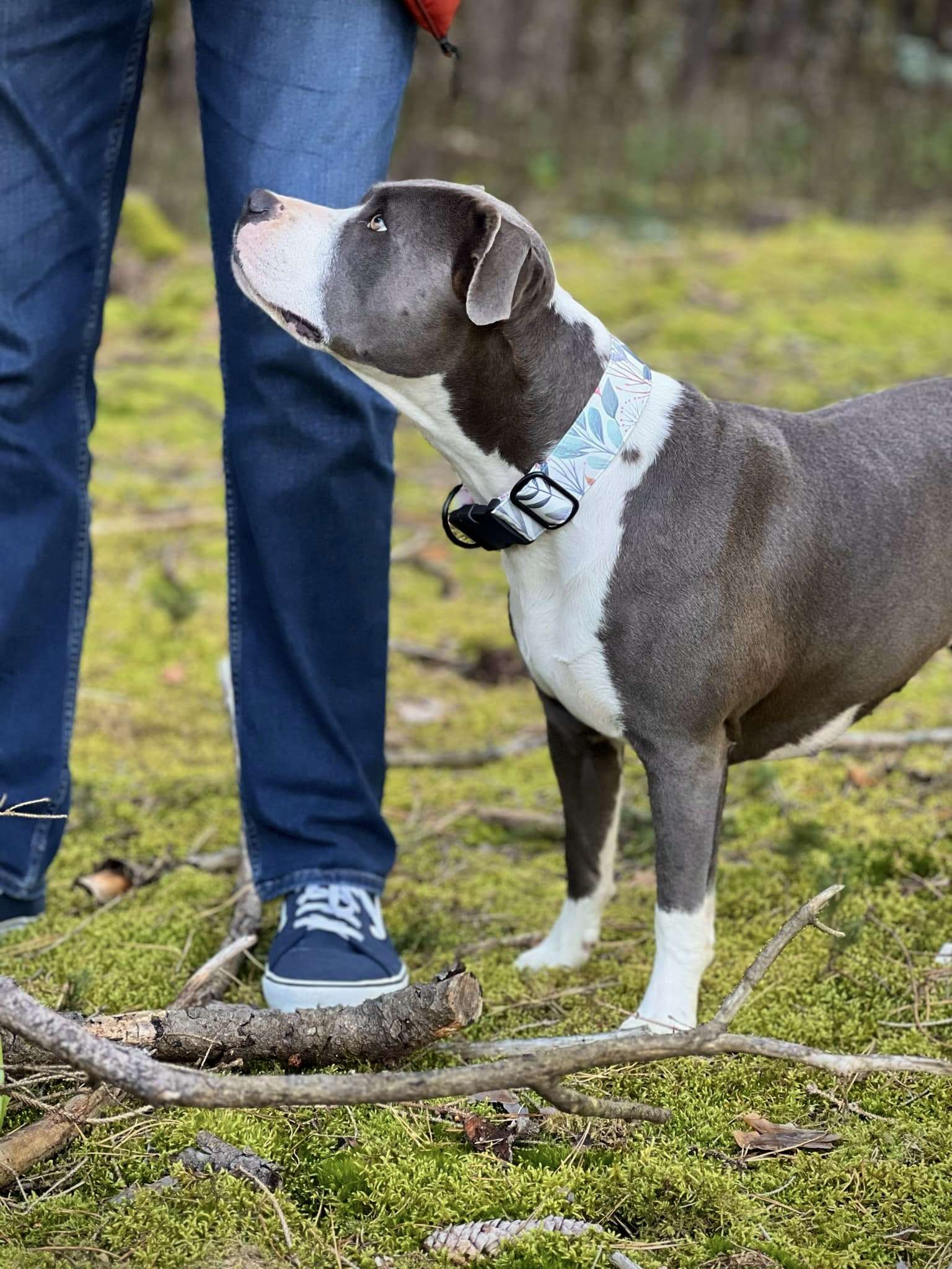 Obojek BLUSH FOREST - Obrázek 5